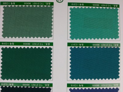 SD-DGYE   滌棉細珠帆  T/C  21*21   96*55 細節-8